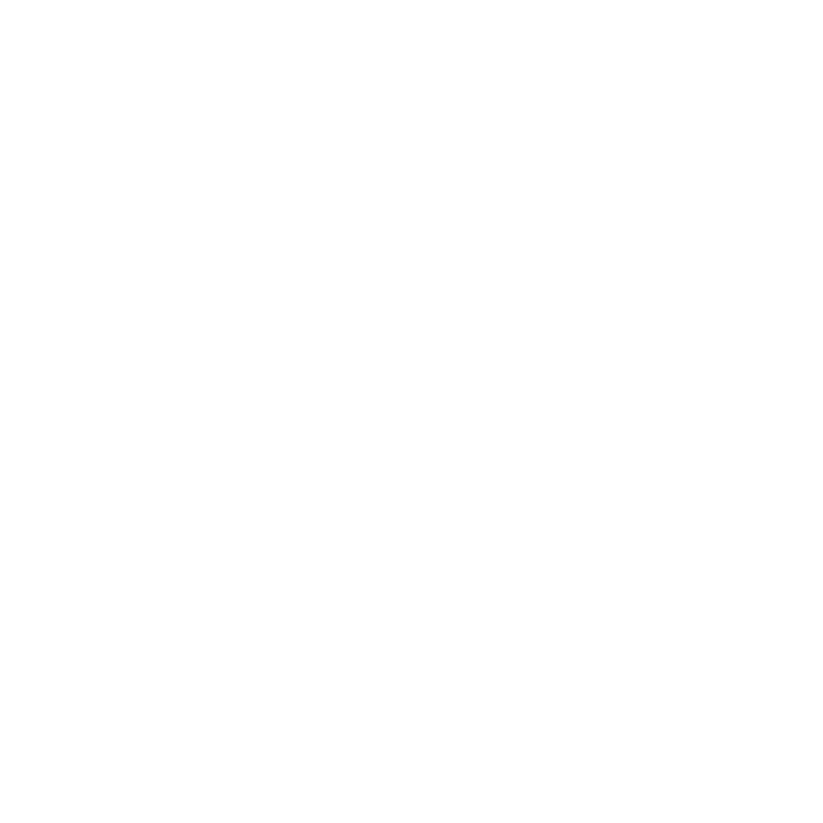 Houston-Texans-Logo