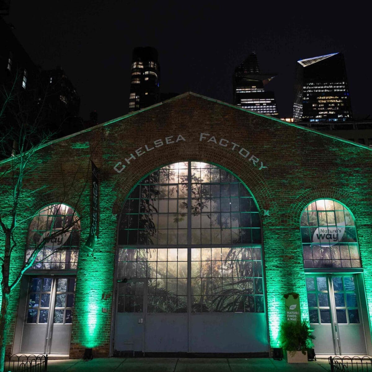 Natures-way-brand-activation