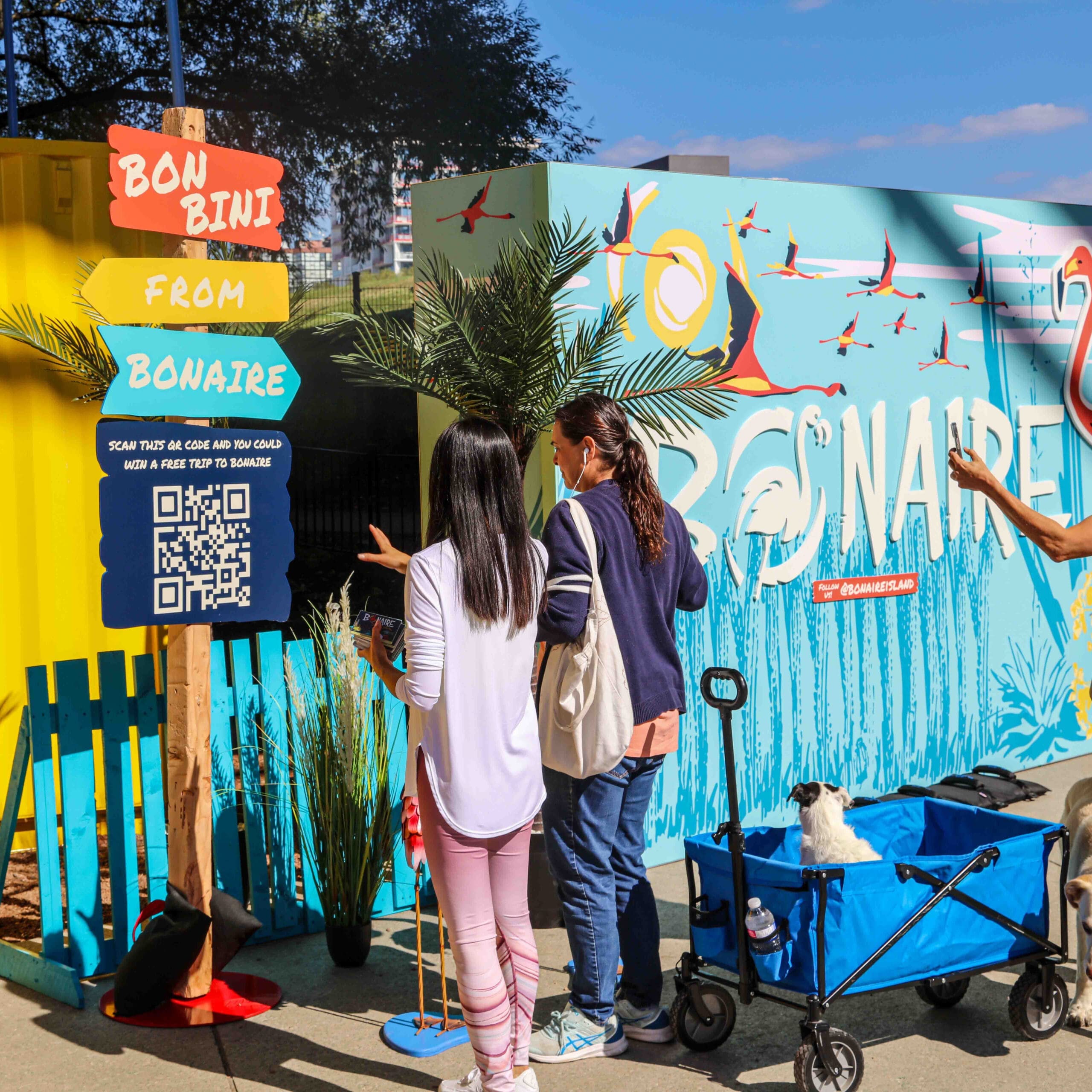 Bonaire-Flash-Flamboyance